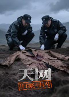 《天网：旧案寻凶》
