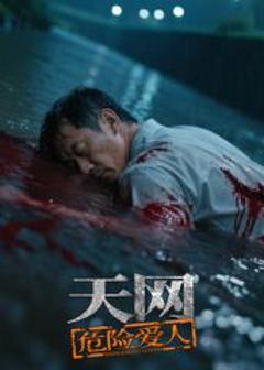 《天网：危险爱人》