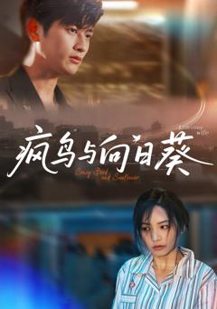 《疯鸟与向日葵》