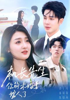 《机长先生你的未婚妻嫁人了》