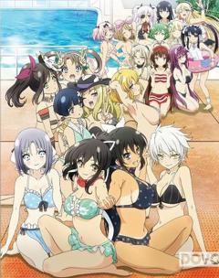 《闪乱神乐 少女们的选择 满是泳装的前夜祭》