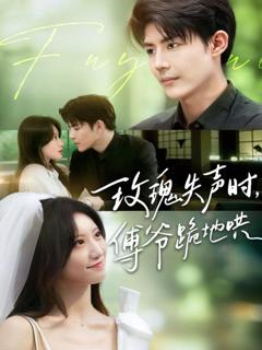 《玫瑰失声时傅爷跪地哄》