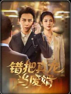 《错把真龙当废婿》