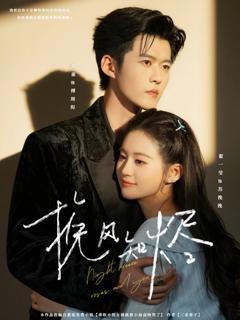 《挽风知烬》