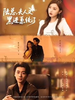 《陆总夫人又黑进系统了》