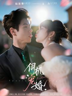 《伺机宠婚》