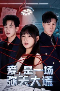 《爱是一场弥天大谎》