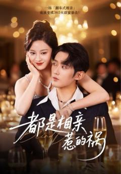 《都是相亲惹的祸》