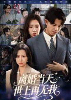 《离婚当天世上再无我》