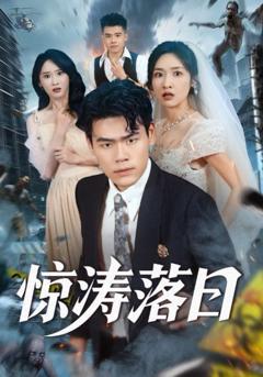 《惊涛落日》
