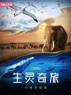 《生灵奇旅》