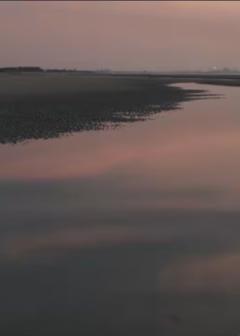 《两个爸爸的故事​》
