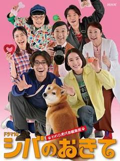 《柴犬的规矩我们这群狗痴编辑部》