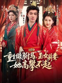 《重生做驸马，玉女前妻她高攀不起》