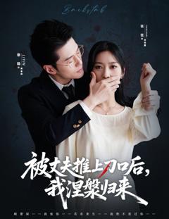 《复婚抱歉我只谈判不谈情（被丈夫推上刀口后，我涅槃归来）》