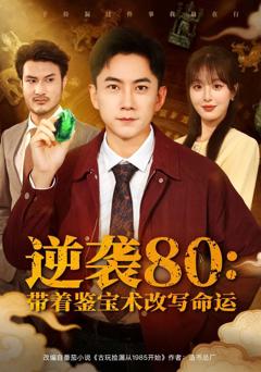 《逆袭80带着鉴宝术改写命运》
