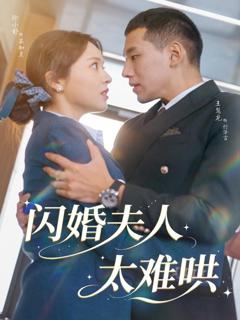 《闪婚夫人太难哄》