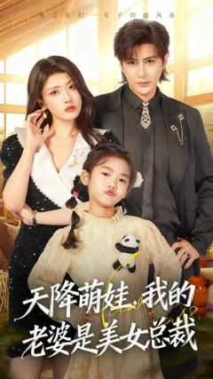 《天降萌娃，我的老婆是美女总裁》