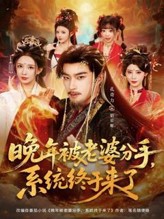 《晚年被老婆分手，系统终于来了》