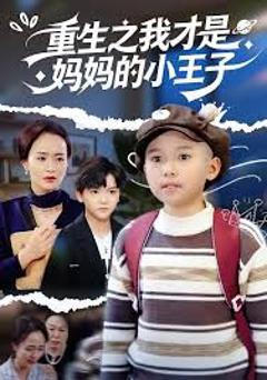 《重生之我才是妈妈的小王子》