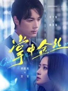 《掌中金丝（长姐她竟是隐藏大佬）》