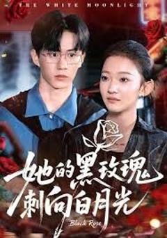 《她的黑玫瑰刺向白月光》
