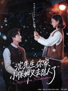 《沈先生，你家小保姆又去怼人了》