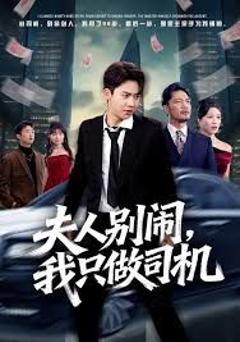 夫人别闹我只做司机