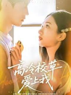 《高冷校草爱上我》