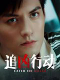 追凶行动