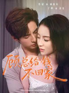 《顾总给钱不回家》