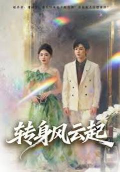 《转身风云起》