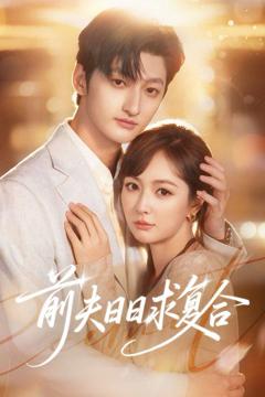 前夫日日求复合