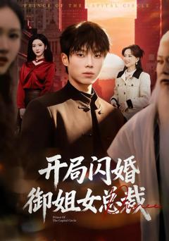 《开局闪婚御姐女总裁》