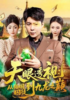 《天眼透视：从缅国囚徒到九龙之巅》