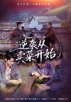 《逆袭从卖菜开始》