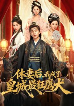 《休妻后，我成了皇城最狂鹰犬》