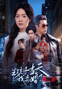 《生孩子当天我离婚了第二部》