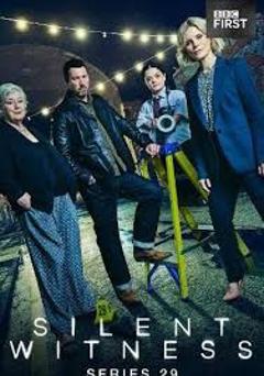 《无声的证言第二十九季》
