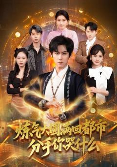 《炼气大圆满回都市分手你哭什么》