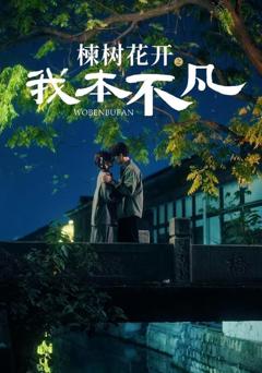 《楝树花开之我本不凡》