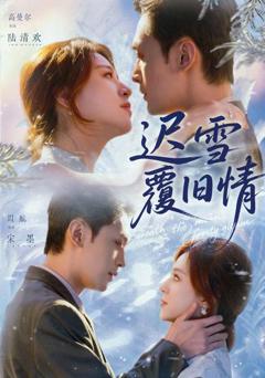 《迟雪覆旧情》