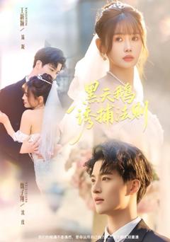 《黑天鹅诱捕法册》