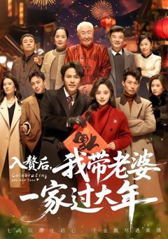 《入赘后，我带老婆一家过大年》