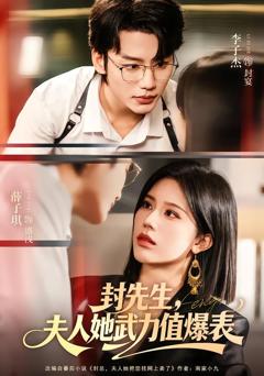 封先生，夫人她武力值爆表