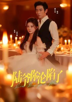 《陆爷你沦陷了》