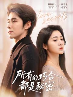 《所有的巧合都是秘密（陆总夫人她只想离婚）》