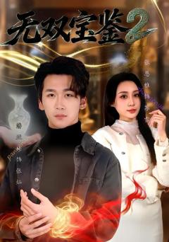 《无双宝鉴2》