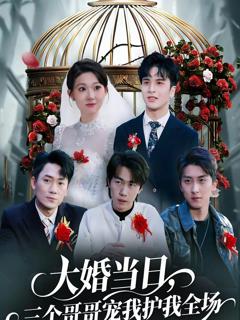 《大婚当日，三个哥哥宠我护我全场》