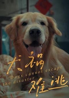 《犬祸难逃》